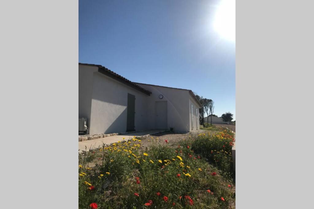 Bonifacio 3Mn Du Port! Villa Piscine Chauffee ,Clim,Wifi Zewnętrze zdjęcie